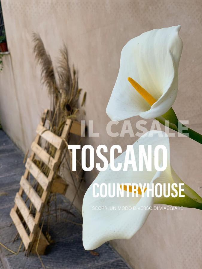 - Il Casale Toscano - 1900Mt From Leaning Tower - No Breakfast - Free Parking Pisa Eksteriør billede